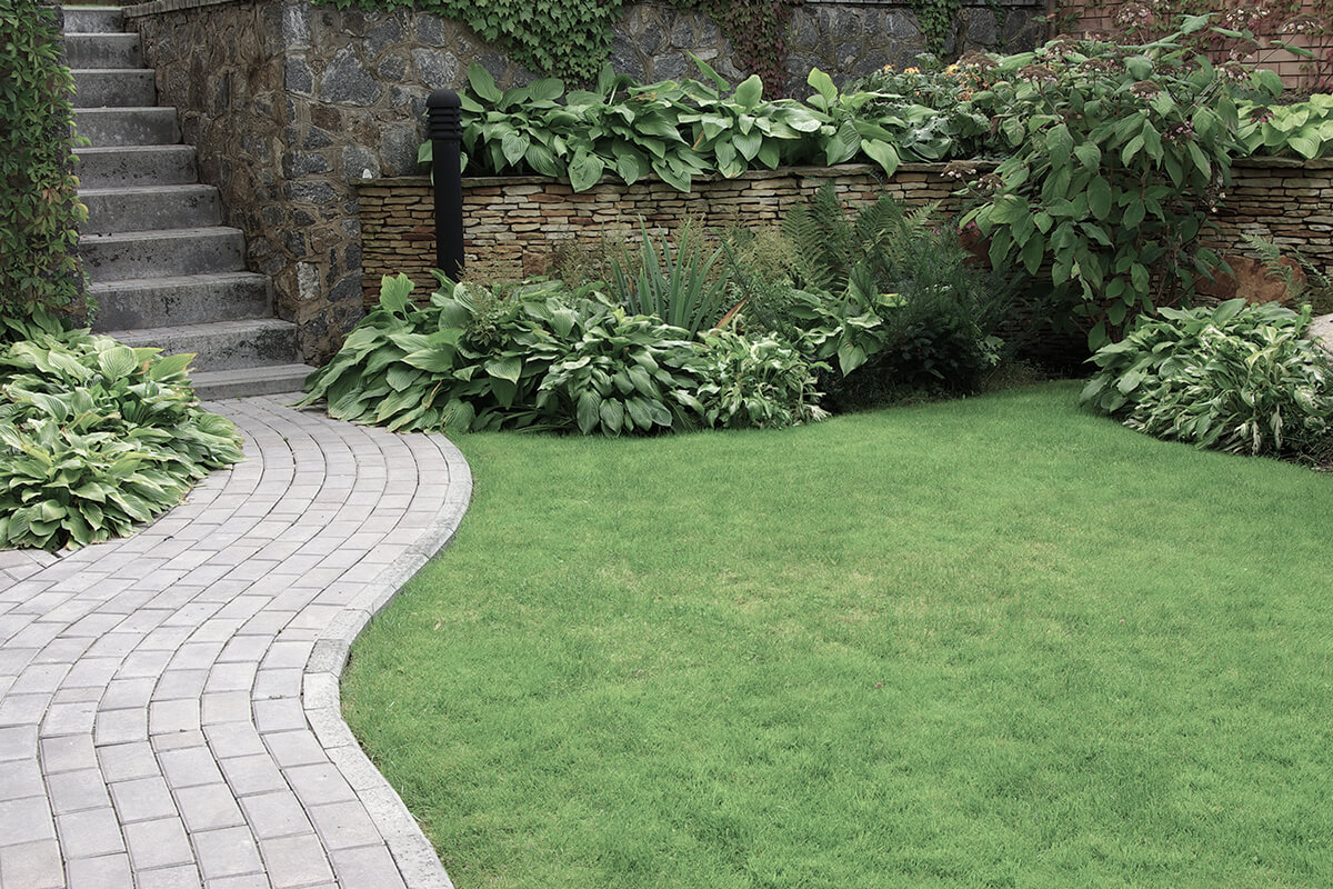 Welcome to Laysure Landscaping